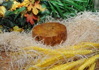 /album/galleria-fotografica/p4-jpg/