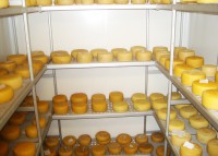 /album/galleria-fotografica/a20-jpg/