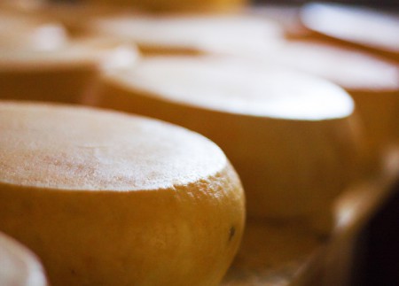 Pecorino stagionato dai 5 mesi in poi