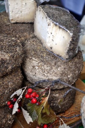 Formaggio di pecora erborizzati 