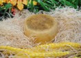 Pecorino Semi Stagionato fino a 5 mesi